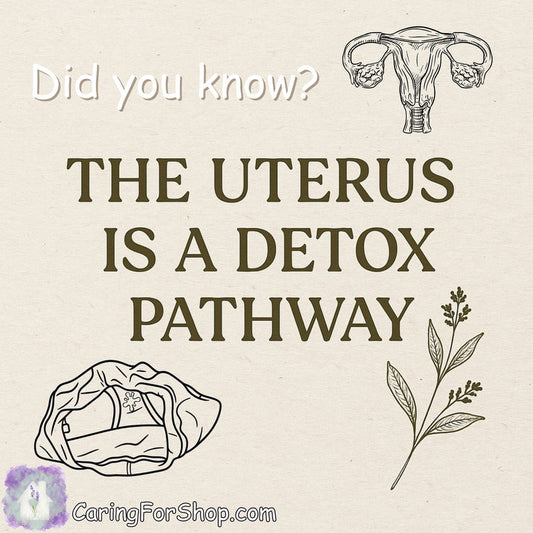 The Uterus Is a Detox Pathway - Even When You’re Not “Cleansing”