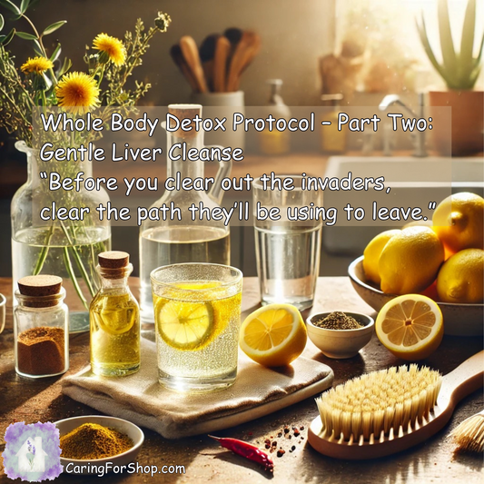 Whole Body Detox Protocol – Part Two: Gentle Liver Cleanse (To accompany our 3 step Parasite Cleanse Protocol)