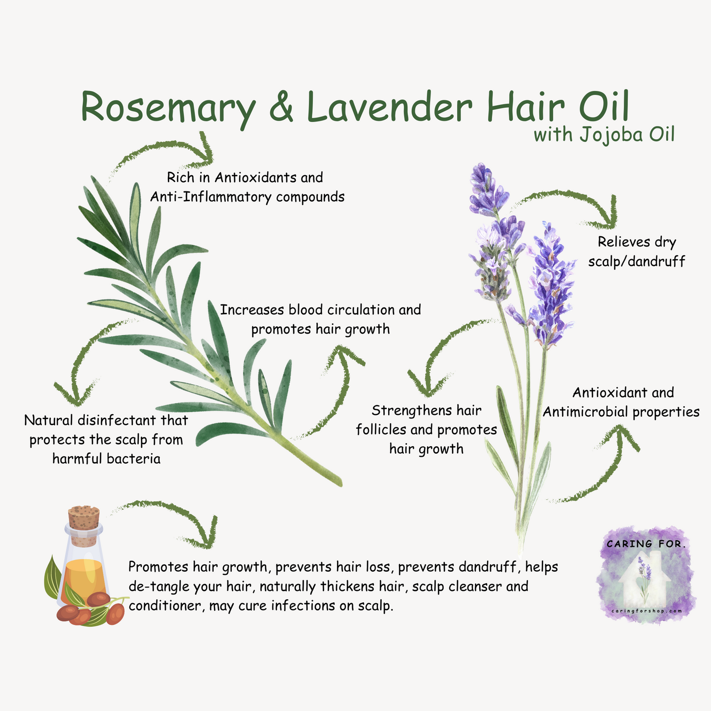 Rosemary & Lavender Hair Oil | Rosemary & Lavender Infused Jojoba Oil | 2oz