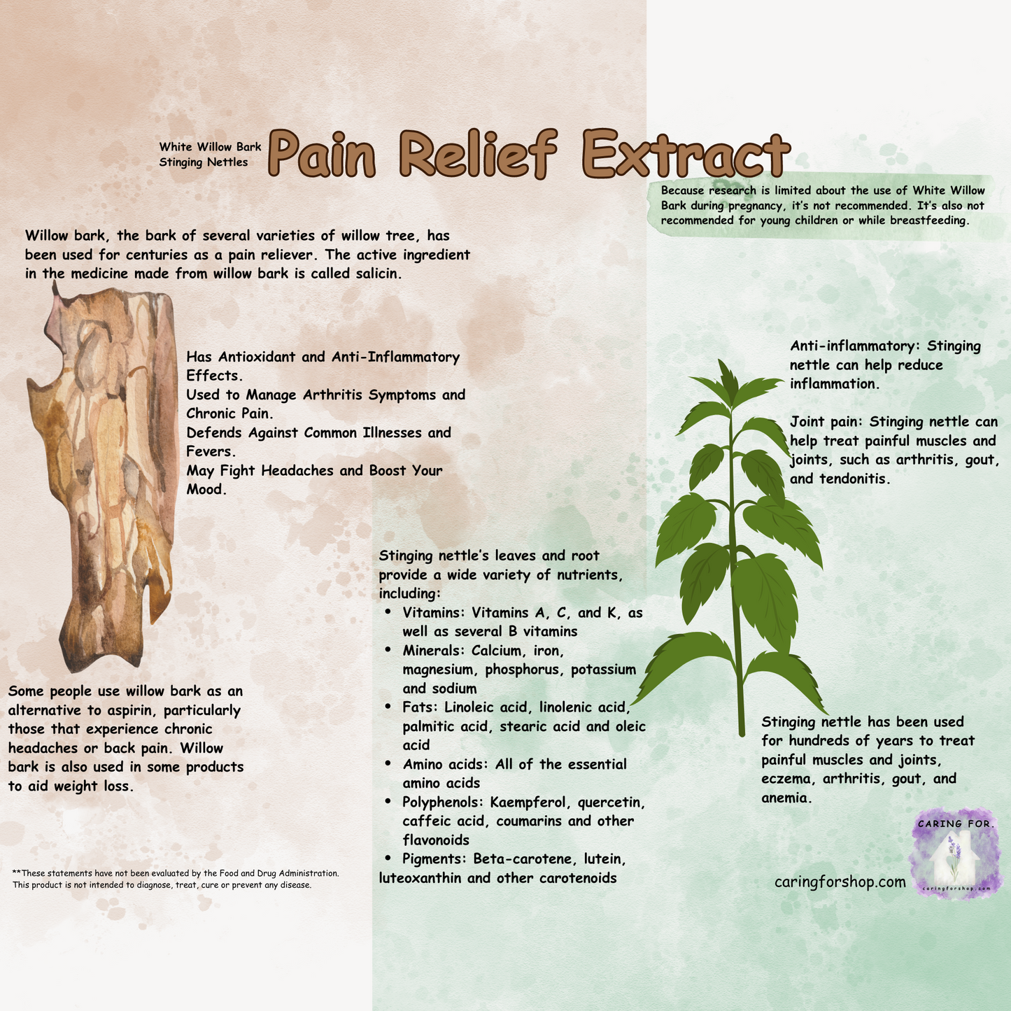 LAST CHANCE - THIS ITEM WILL NOT BE RESTOCKING | Pain Relief Extract | Pain Relief Tincture | 2oz