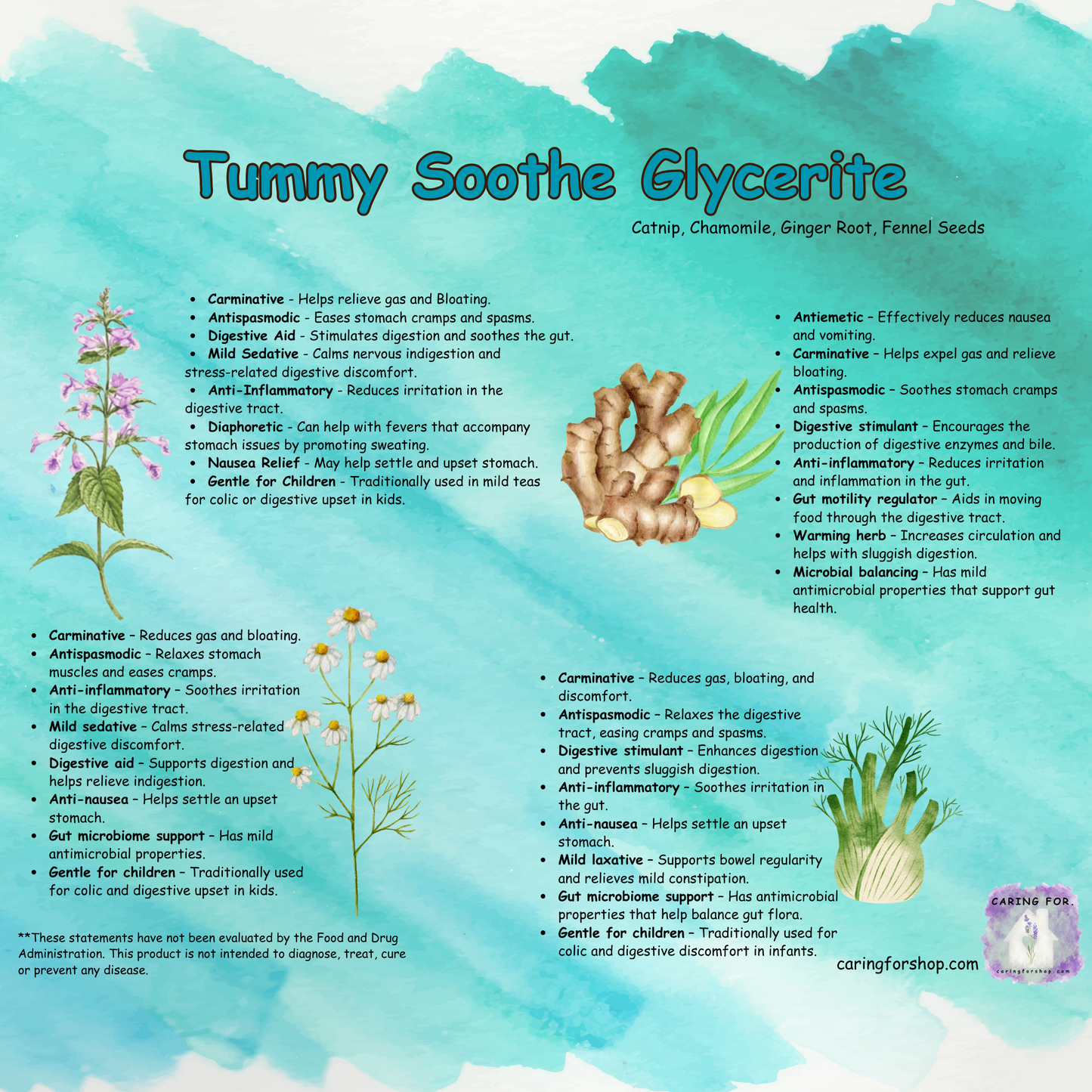 Tummy Soothe Glycerite | 2oz | Apothecary by Caring For... | M/B/T