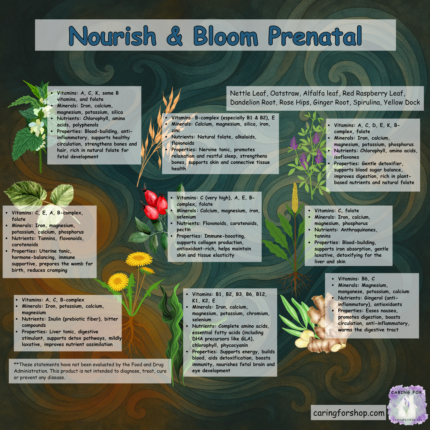 Nourish & Bloom Prenatal Glycerite | Gentle Herbal Support for Pregnancy, Postpartum & Iron Balance | 4oz | Liquid Drops