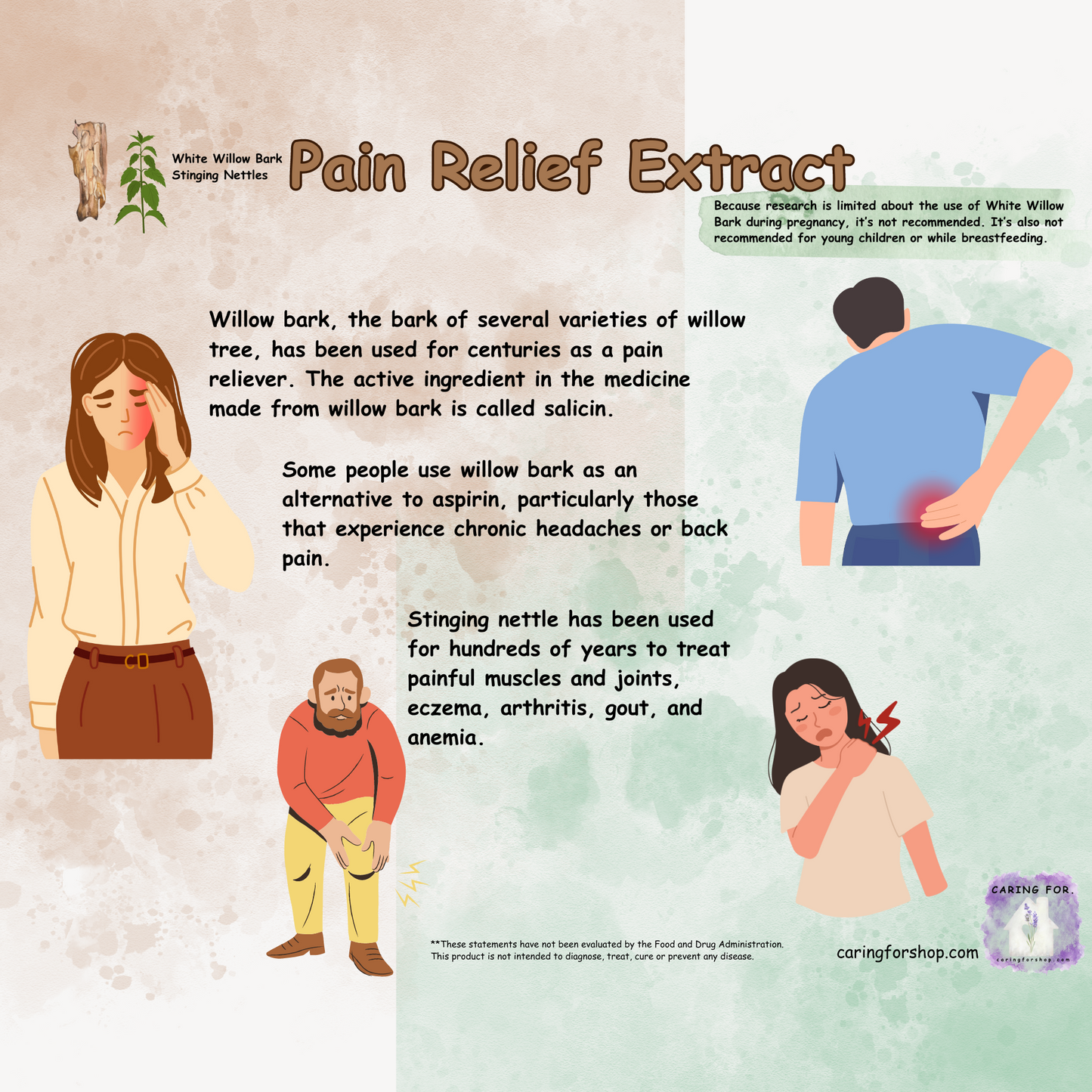 LAST CHANCE - THIS ITEM WILL NOT BE RESTOCKING | Pain Relief Extract | Pain Relief Tincture | 2oz