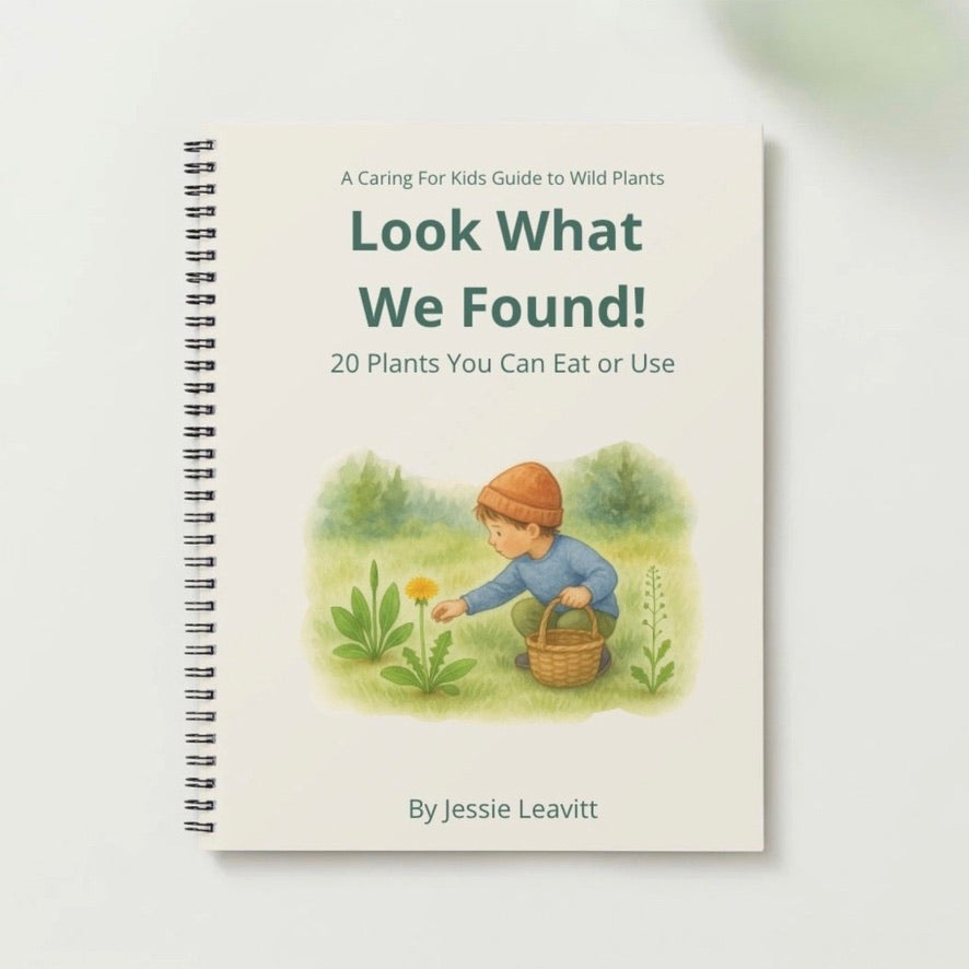 📗 Look What We Found! - A Caring For Kids Guide to Wild Plants | 20 Plants You Can Eat or Use | Written by Jessie Leavitt