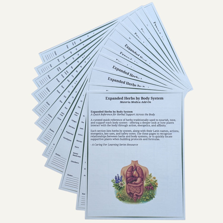 PRE ORDER OPEN | The Caring For Home Herbalist Course (Printed & Self-Paced Curriculum)
