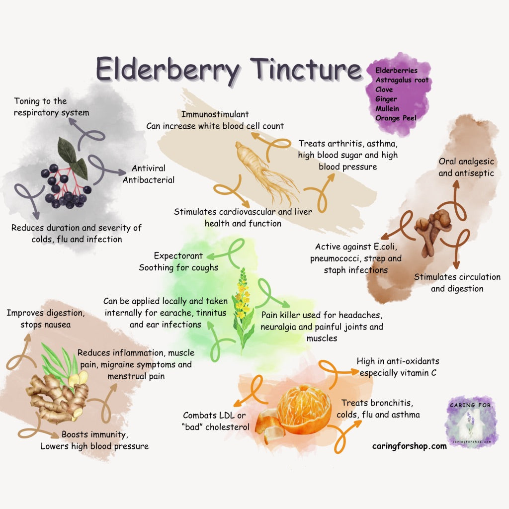 Elderberry Tincture | 2oz | Immune Support | Apothecary by Caring For...