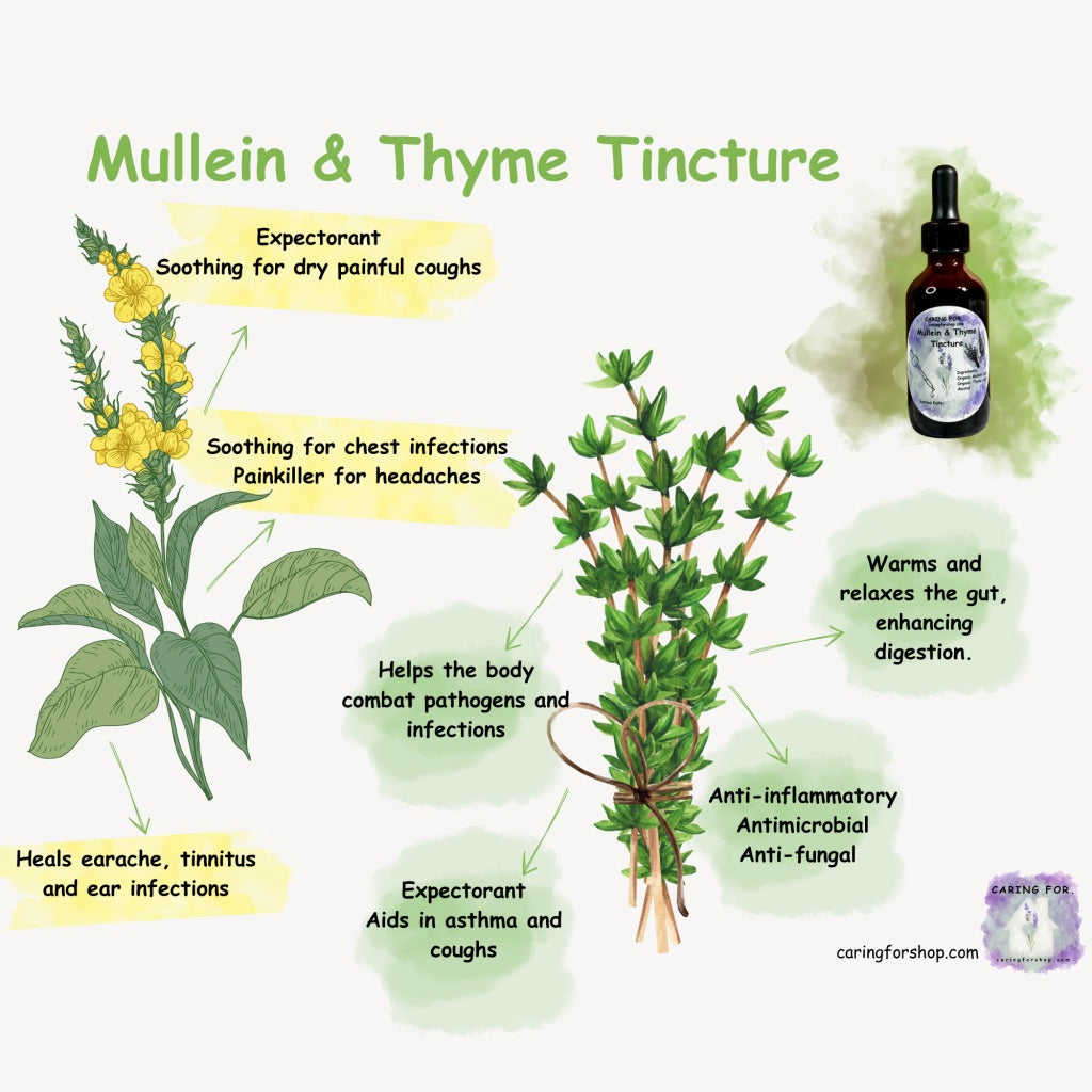 Mullein & Thyme Tincture | 2oz | Lung Health | Pain Reliever | Apothecary By Caring For...
