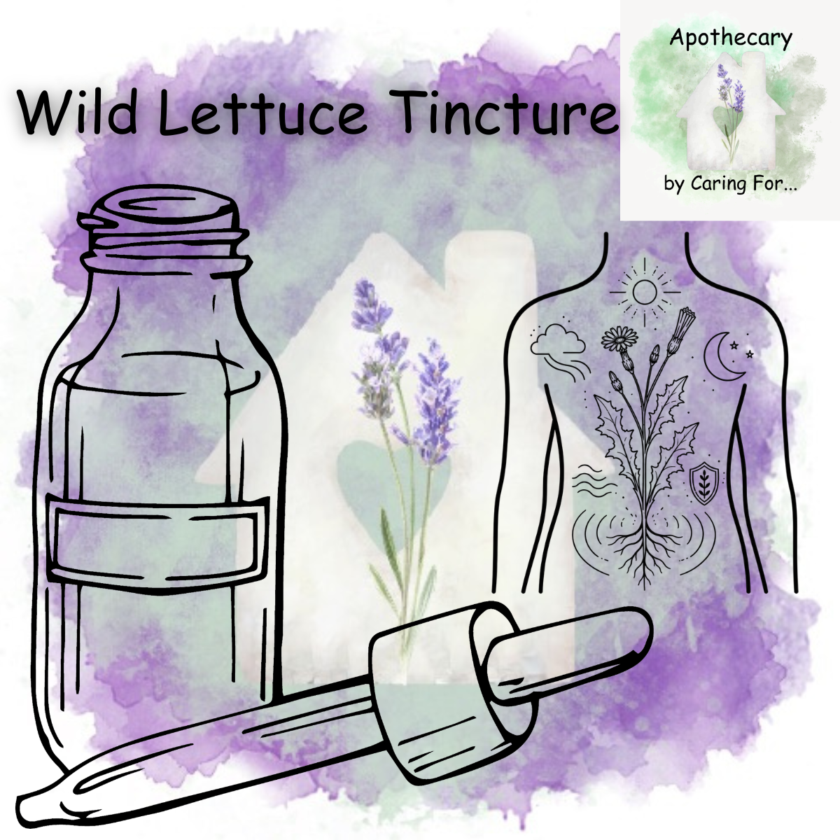 Wild Lettuce Tincture | 2oz