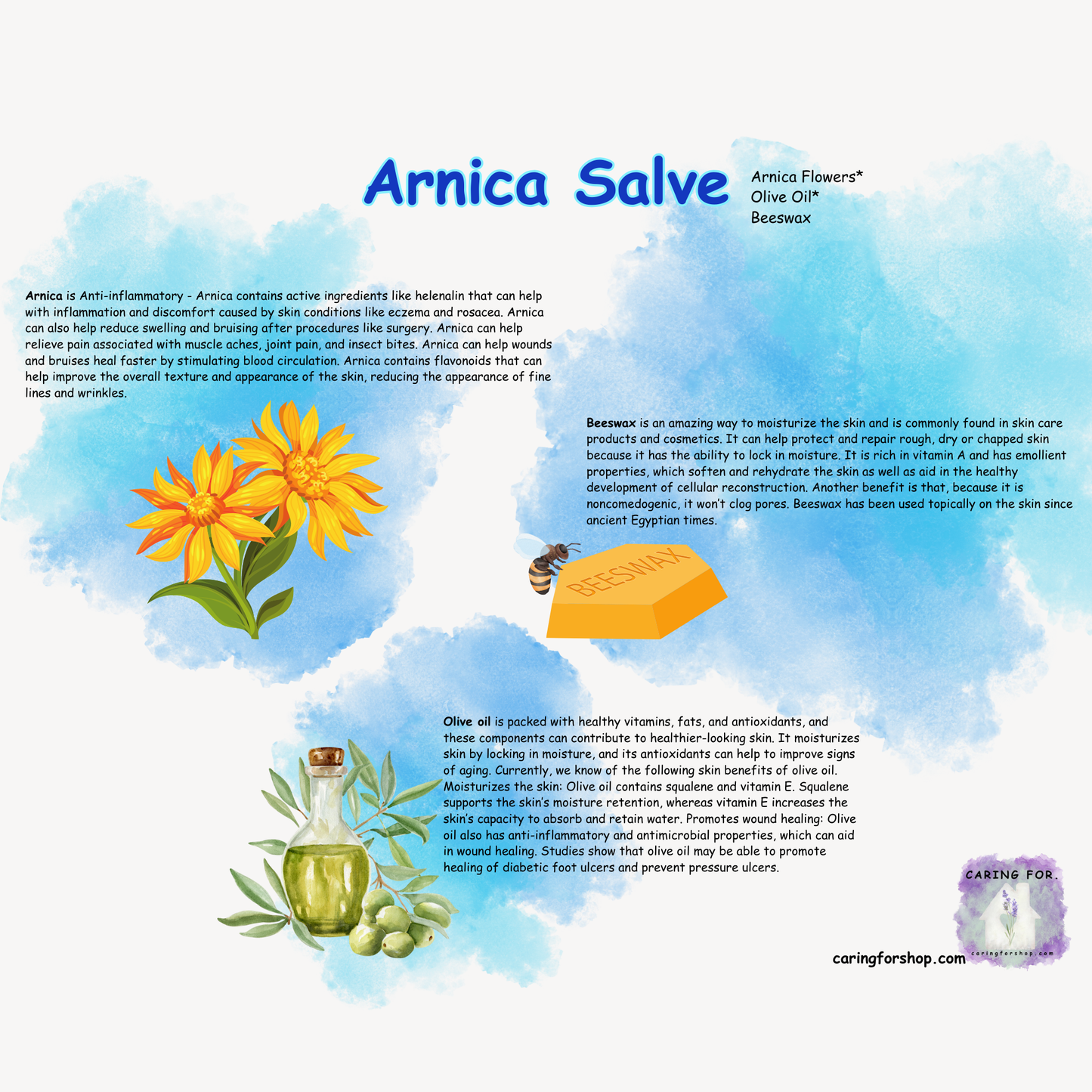 Arnica Salve | Salve | B1G1-25%off | Apothecary by Caring For...