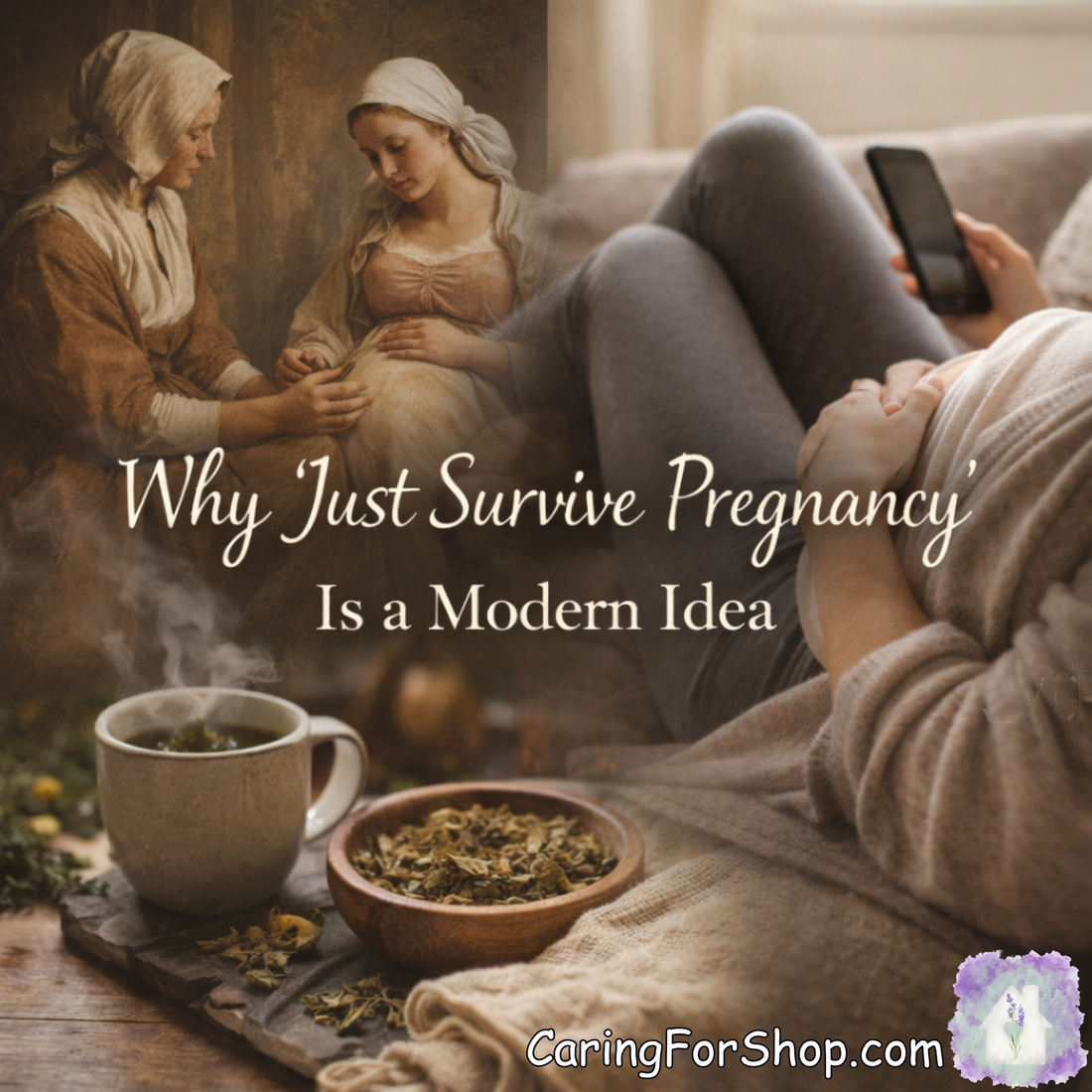 Why “Just Survive Pregnancy” Is a Modern Idea – A Historical Perspective