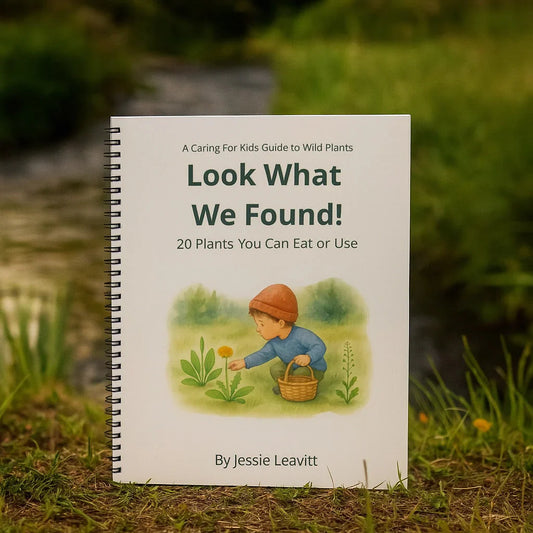 🌿 Look What We Found! – A Kid-Friendly Guide to Wild Plants (And Why It Matters)