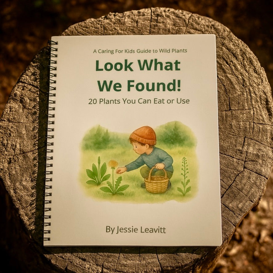 📗 Look What We Found! - A Caring For Kids Guide to Wild Plants | 20 Plants You Can Eat or Use | Written by Jessie Leavitt