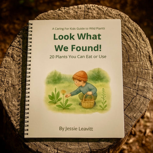 📗 Look What We Found! - A Caring For Kids Guide to Wild Plants | 20 Plants You Can Eat or Use | Written by Jessie Leavitt