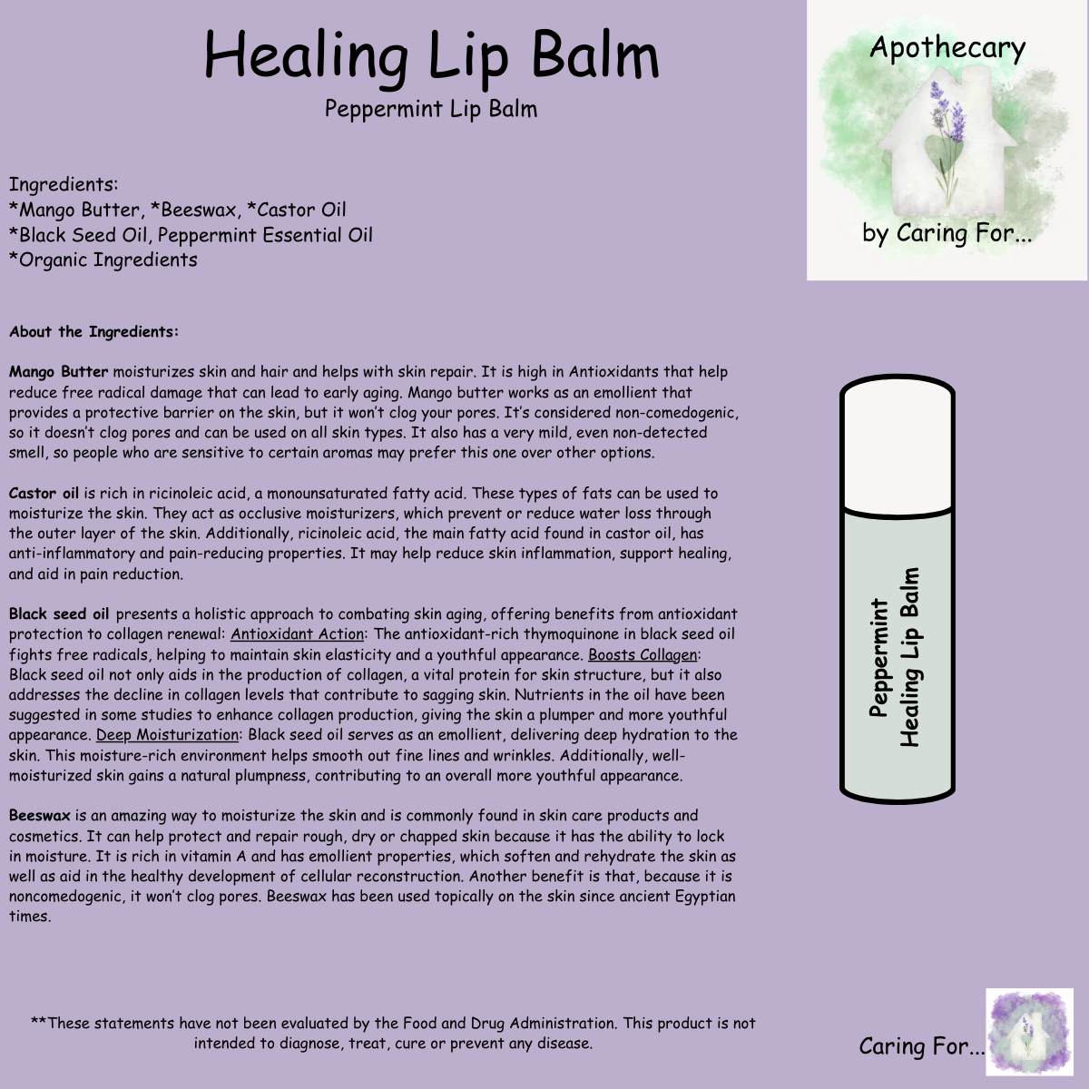 Lip Balm | Healing Lip Balm | Chapstick | Check Listing for Options | Apothecary | M/B/T