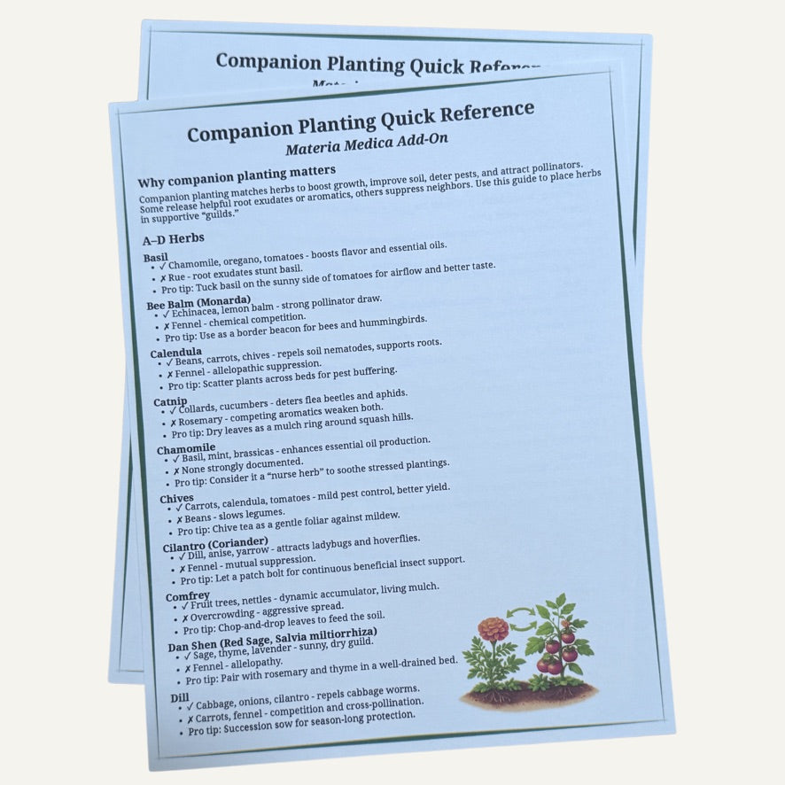 PRE ORDER OPEN | The Caring For Home Herbalist Course (Printed & Self-Paced Curriculum)