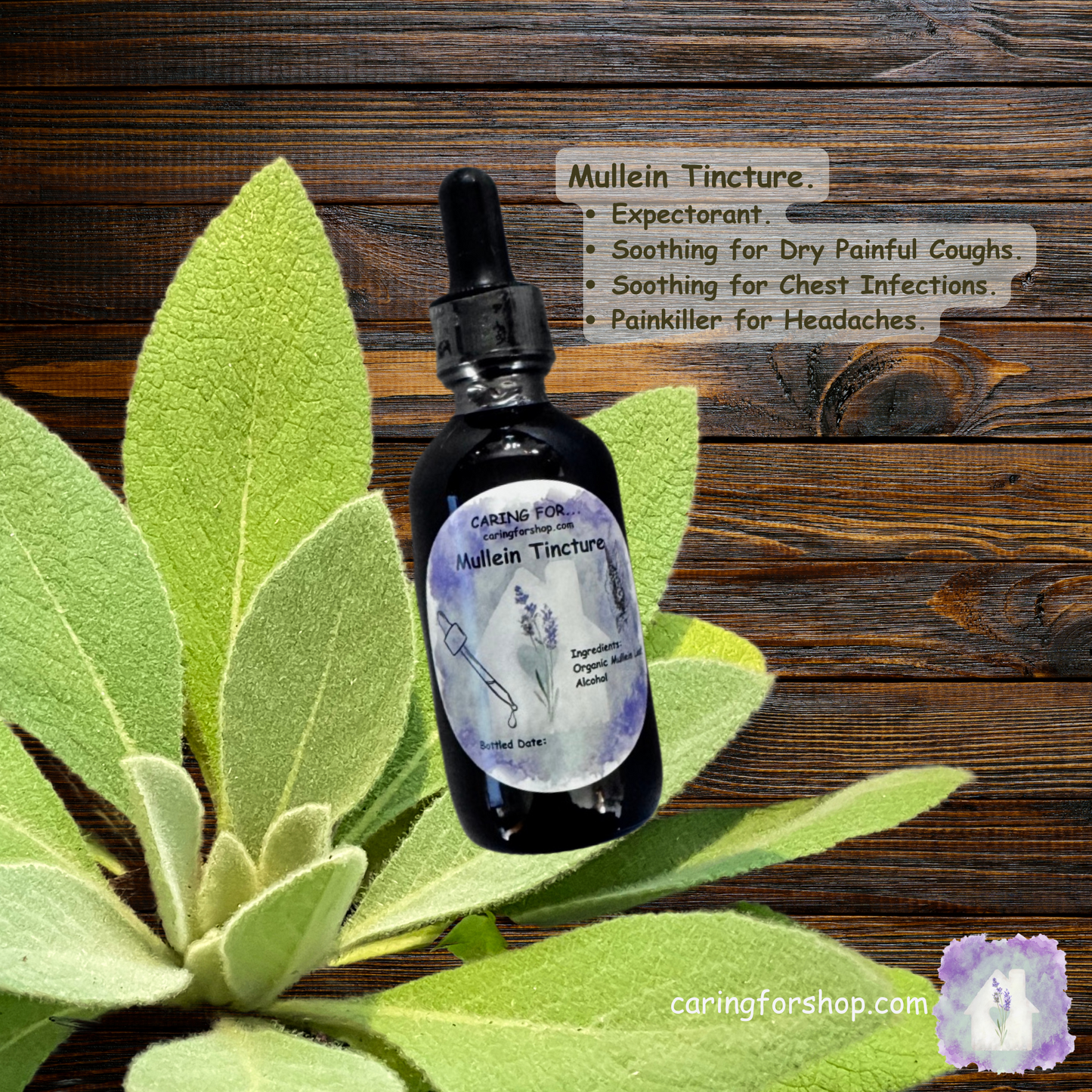 Mullein Tincture | 2oz | Lung Health | Pain Reliever | Apothecary by Caring For...