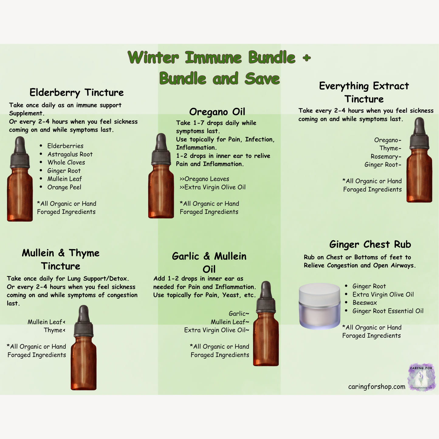 Bundle and Save | Winter Immune Support + | Elderberry Tincture, Everything Extract, Mullein & Thyme Tincture, Ginger Chest Rub, Oregano Oil, Garlic & Mullein Oil | Apothecary