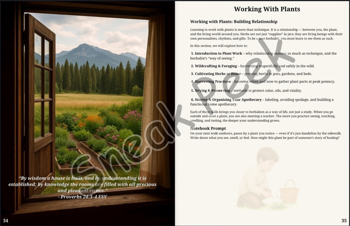 DIY Herbalism Course - A Complete Guide from Home Herbalist to Community Care (Work in Progress – Not Available Yet)