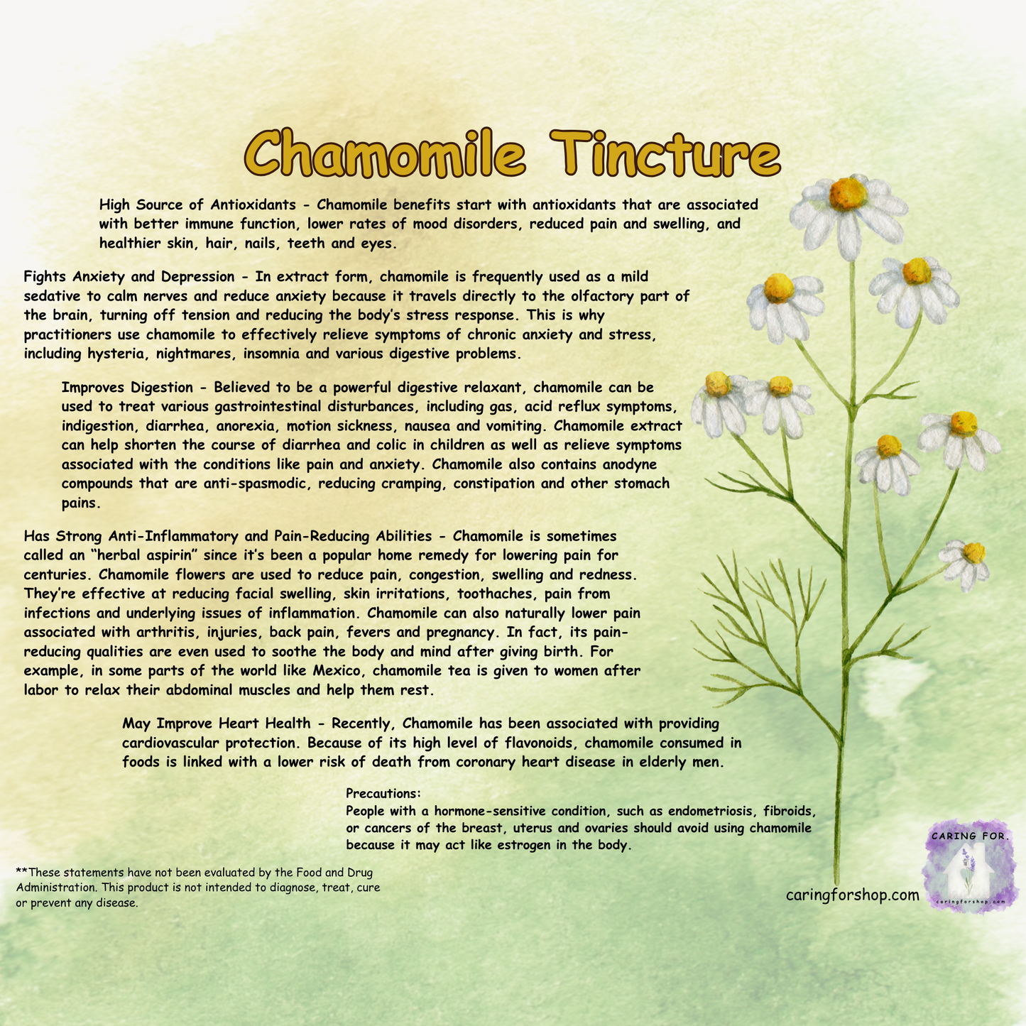 Chamomile Tincture | 2oz | Apothecary by Caring For... | M/B/T