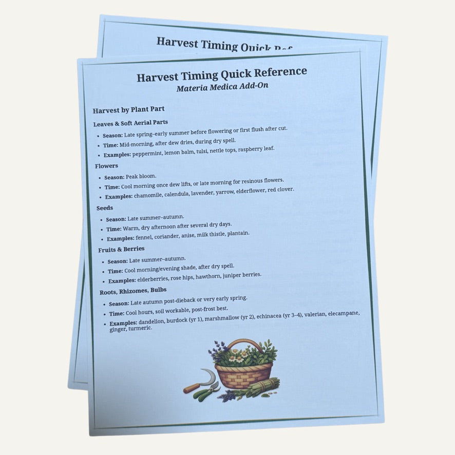 PRE ORDER OPEN | The Caring For Home Herbalist Course (Printed & Self-Paced Curriculum)