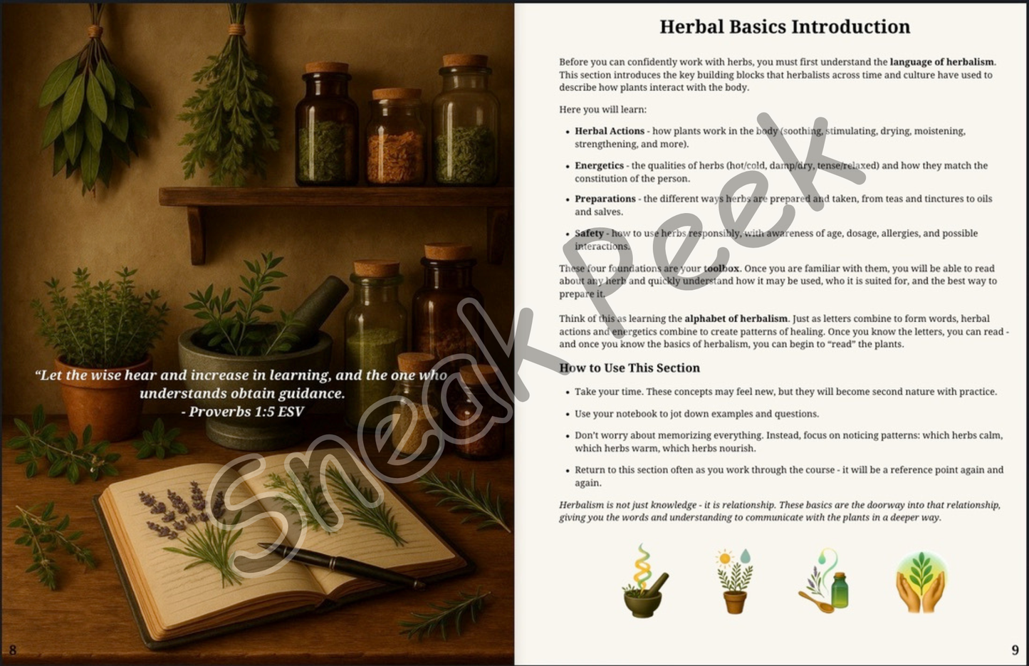 DIY Herbalism Course - A Complete Guide from Home Herbalist to Community Care (Work in Progress – Not Available Yet)
