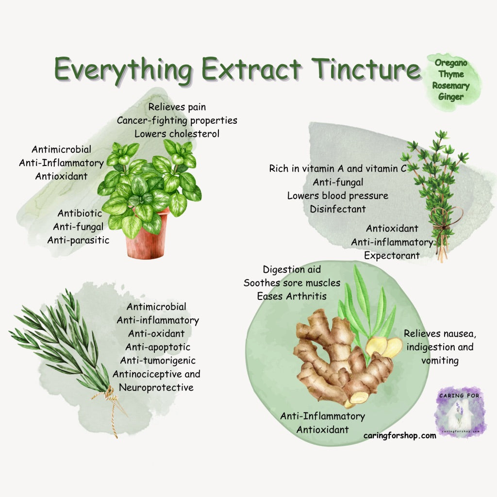 Everything Extract | 2oz | Immune Support | Antibiotic Properties | Apothecary by Caring For...