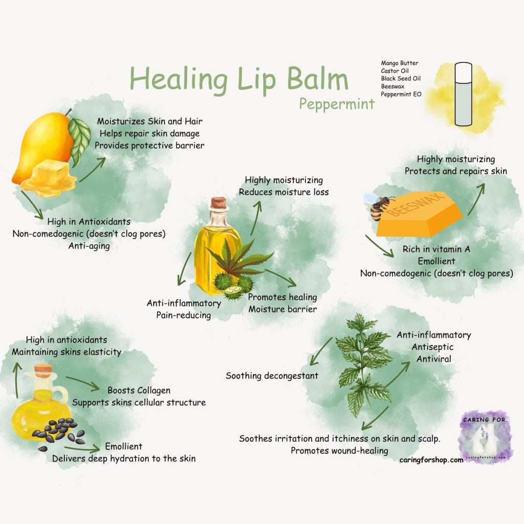 Lip Balm | Healing Lip Balm | Chapstick | Check Listing for Options | Apothecary | M/B/T