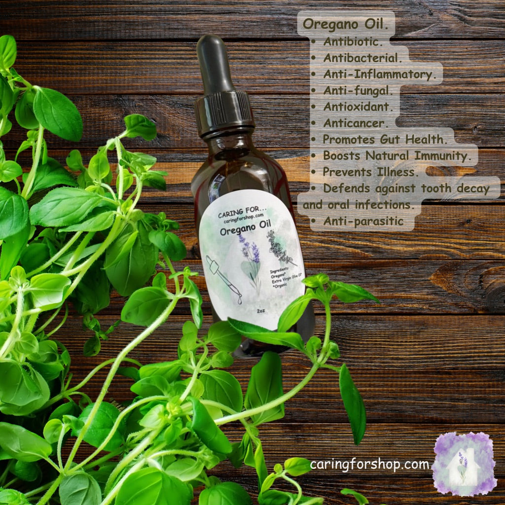 Oregano Oil | Oregano Infused Olive Oil | 2oz | Apothecary by Caring For...