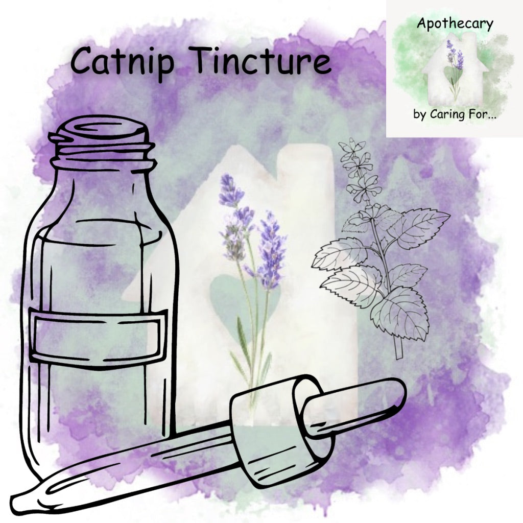 Catnip Tincture | 2oz | Apothecary by Caring For... | M/B/T