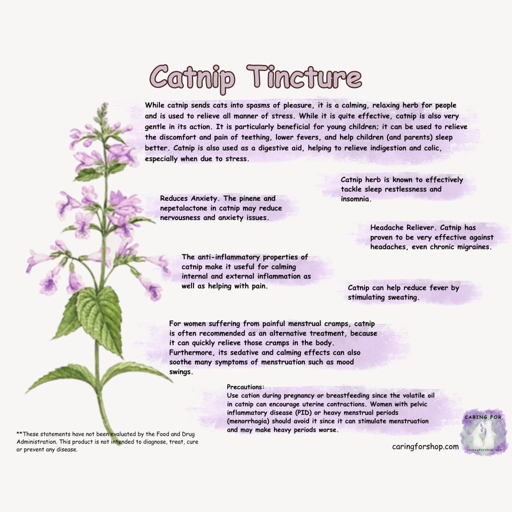 Catnip Tincture | 2oz | Apothecary by Caring For... | M/B/T