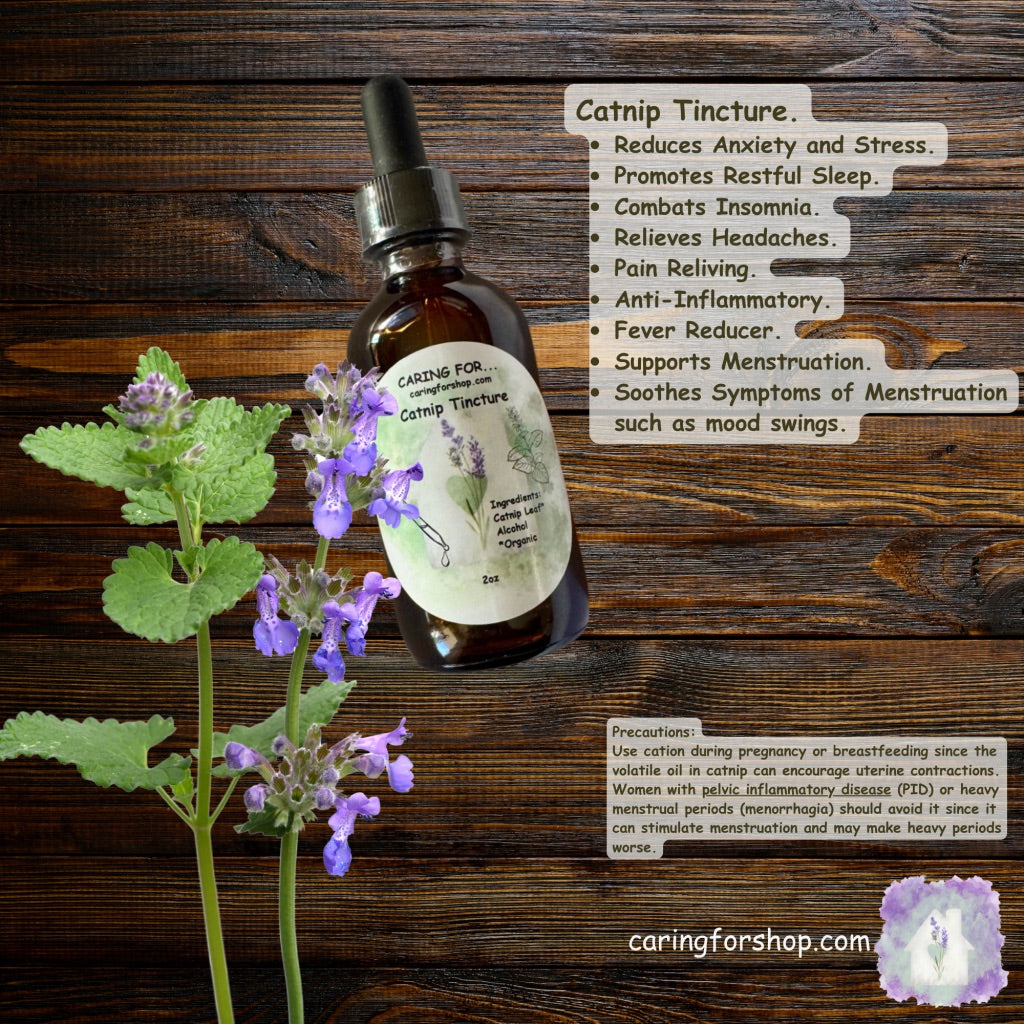 Catnip Tincture | 2oz | Apothecary by Caring For... | M/B/T