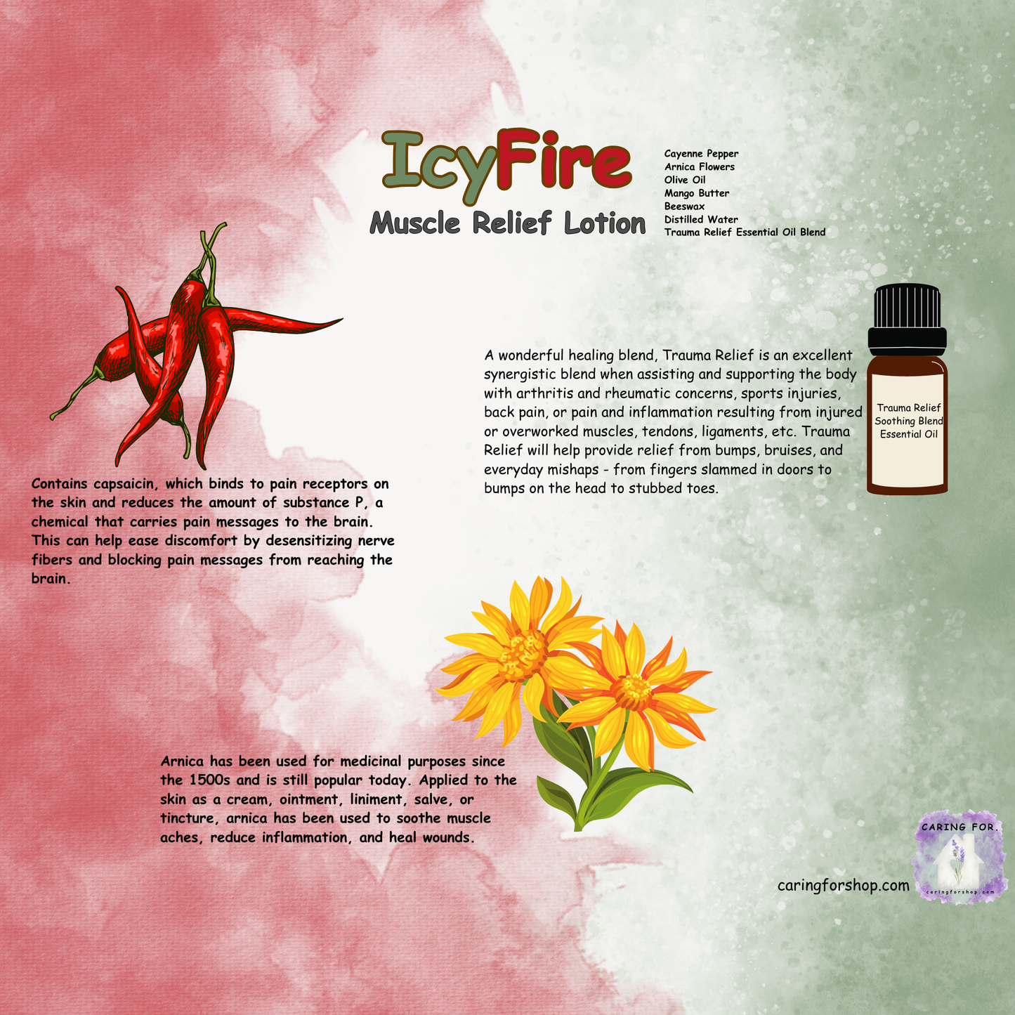 IcyFire Muscle Relief Lotion | 1oz | Apothecary by Caring For...