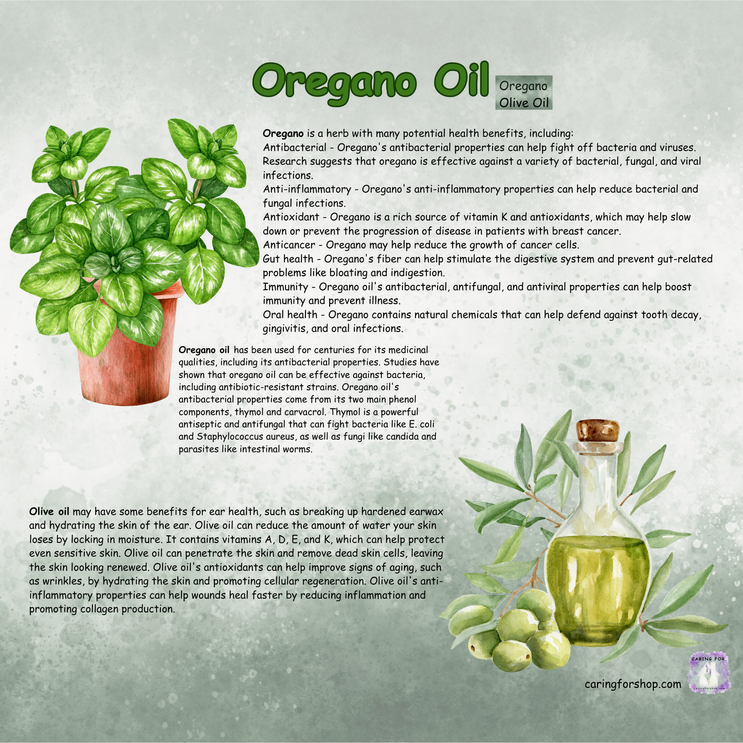 Oregano Oil | Oregano Infused Olive Oil | 2oz | Apothecary by Caring For...